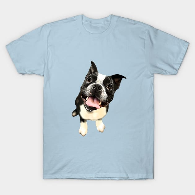 Boston Terrier Cute Dog T-Shirt by ElegantCat